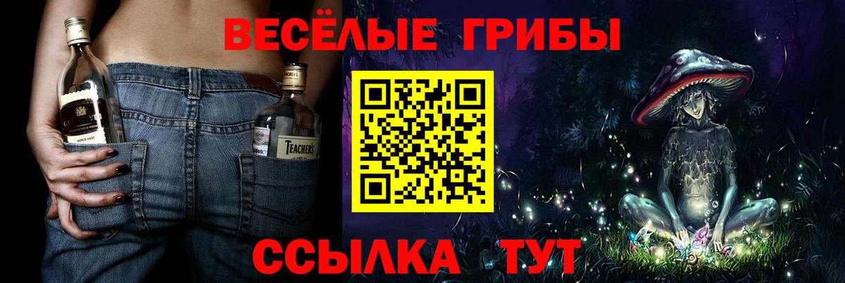 Псилоцибиновые грибы Psilocybe Татарск