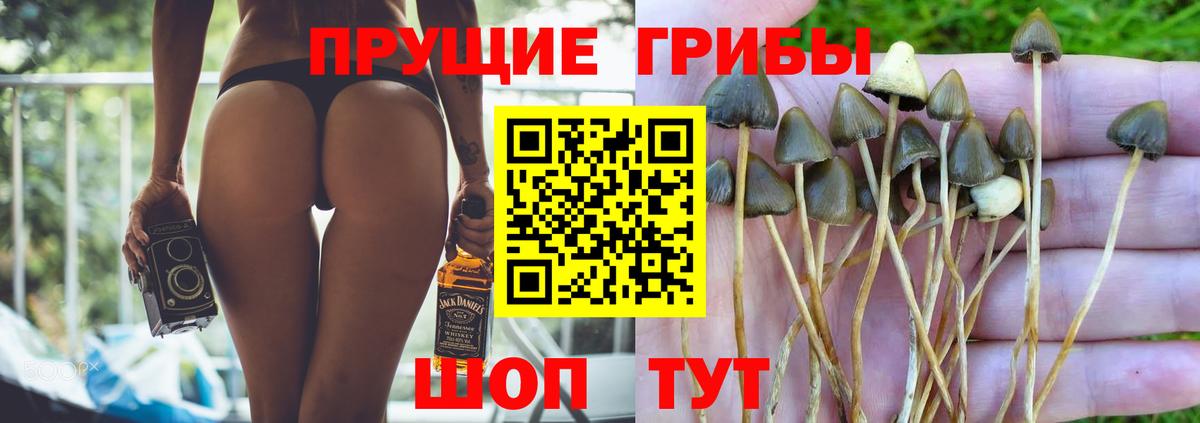 Псилоцибиновые грибы ЛСД  Вход с VPN  Татарск 